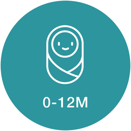 Chinese Children’s Books for Babies 0-12 Months