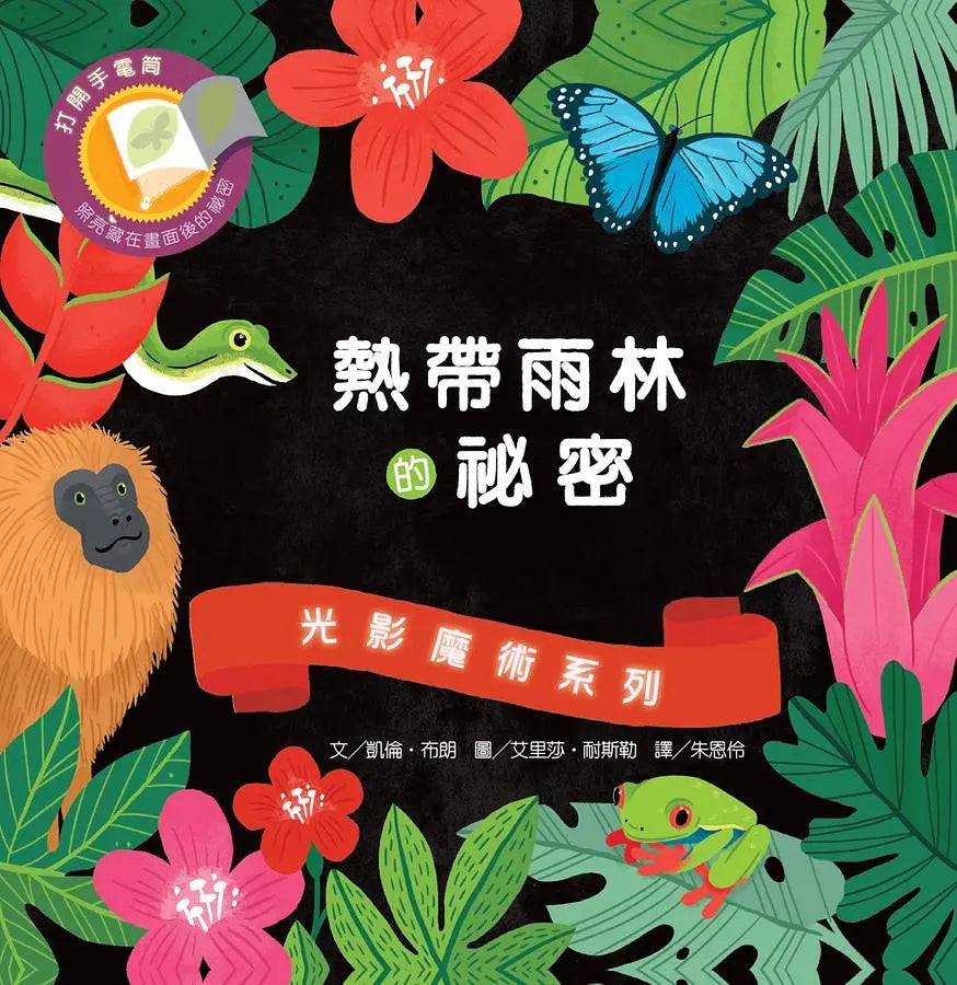 光影魔術:熱帶雨林的祕密