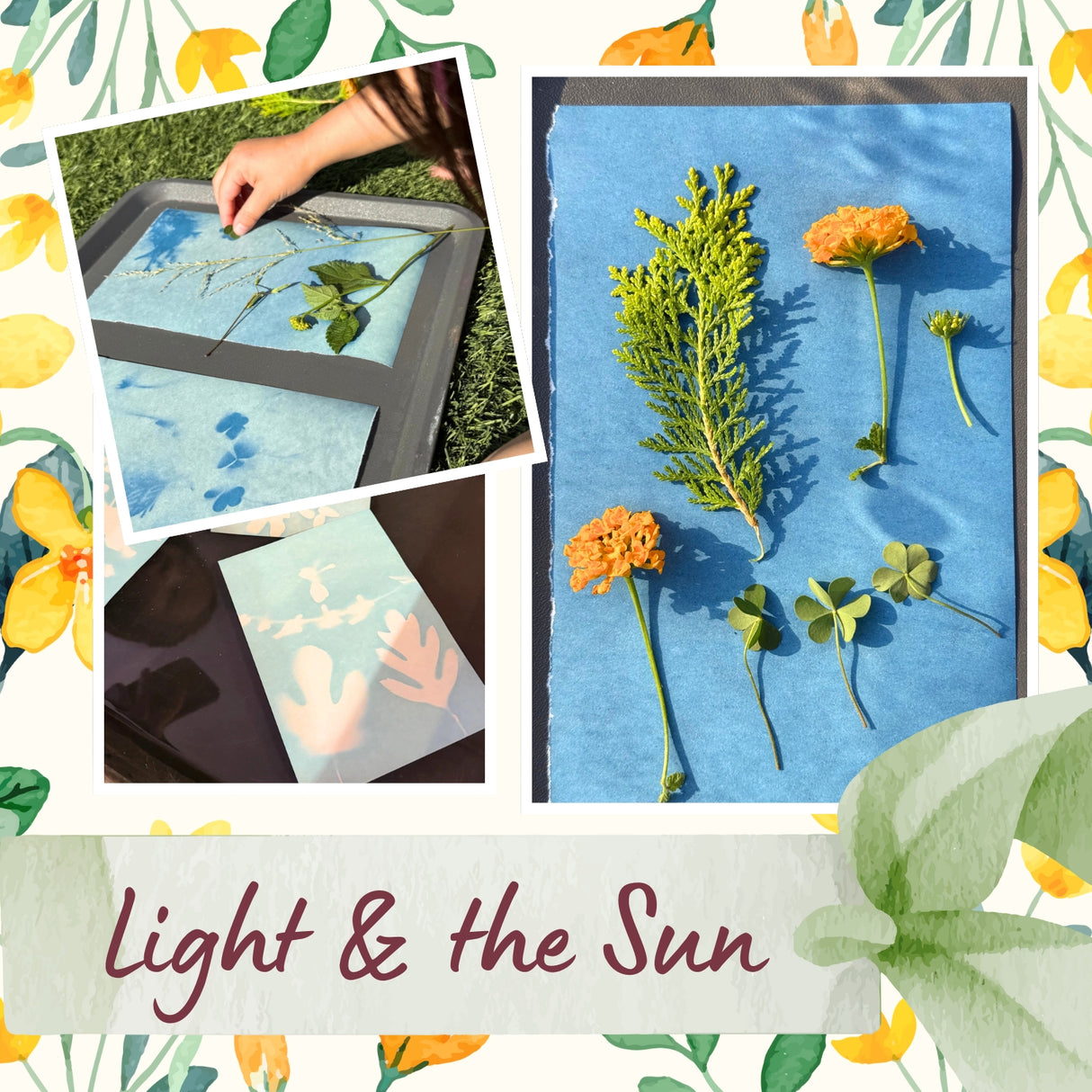 Creative Circle - Summer Storytime and workshop