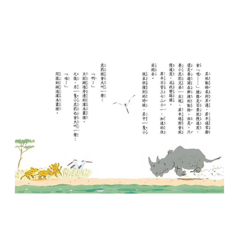 薩瓦納草原的一天|故事摩天輪