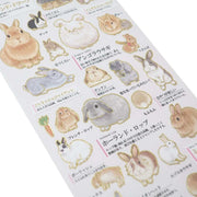 Adult Illustrated Book Stickers 日本大人の図鑑貼紙集