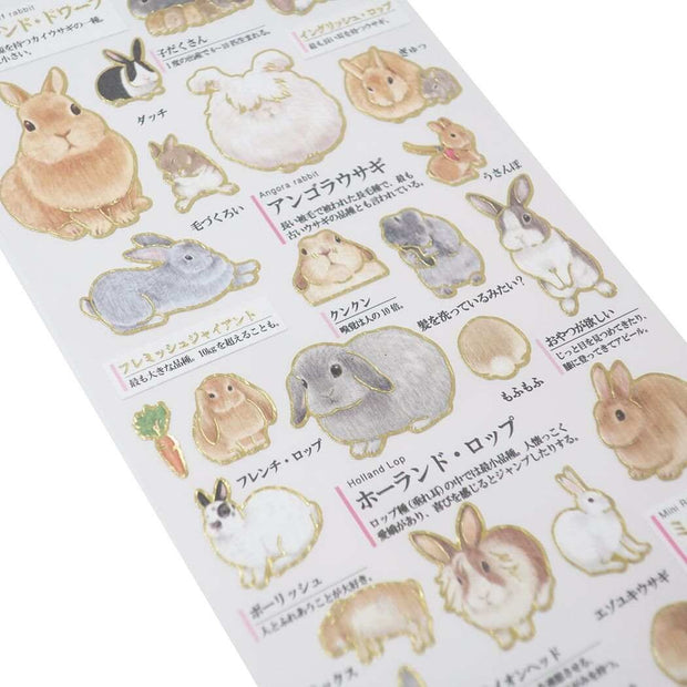 Adult Illustrated Book Stickers 日本大人の図鑑貼紙集