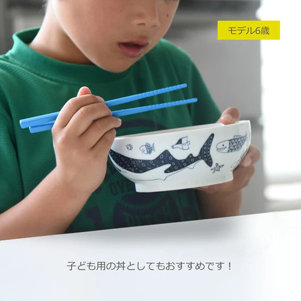 Coco Marine Hasami Ware Donburi Rice Bowl – 5.5"