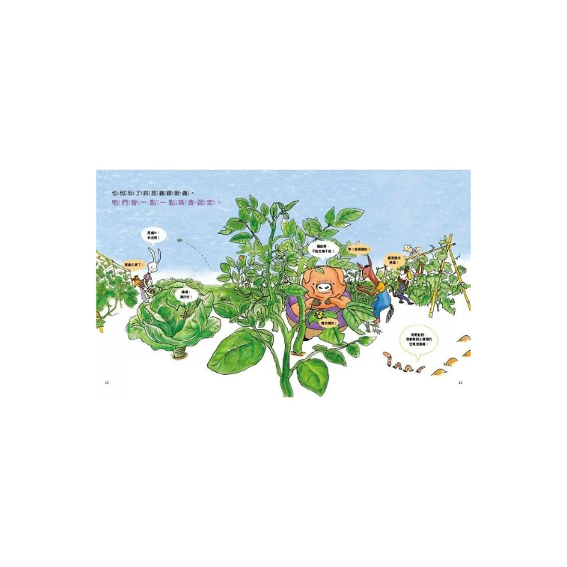 【幼兒自然科學啟蒙】蔬菜是從哪來的?