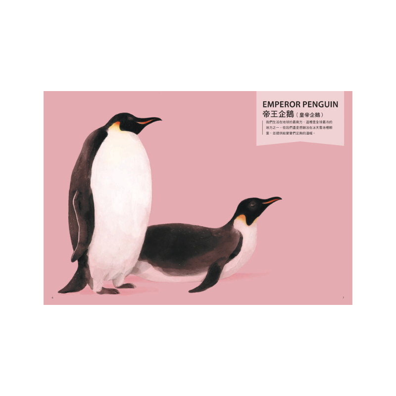 世界上最棒的媽媽和爸爸〔動物繪本圖鑑2〕