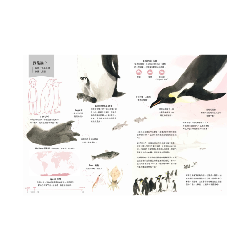 世界上最棒的媽媽和爸爸〔動物繪本圖鑑2〕