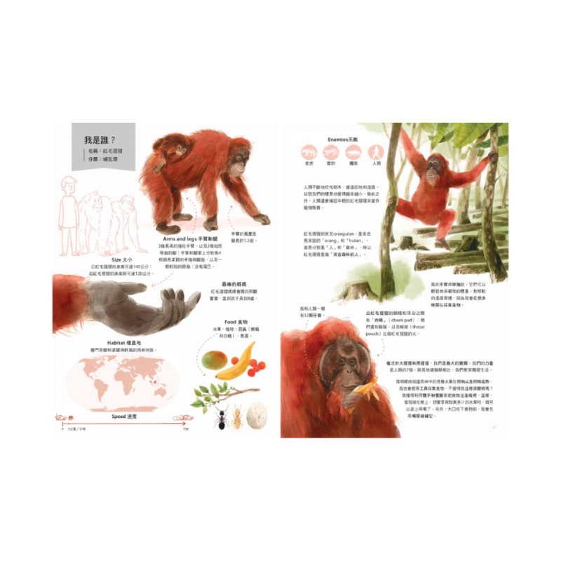 世界上最棒的媽媽和爸爸〔動物繪本圖鑑2〕