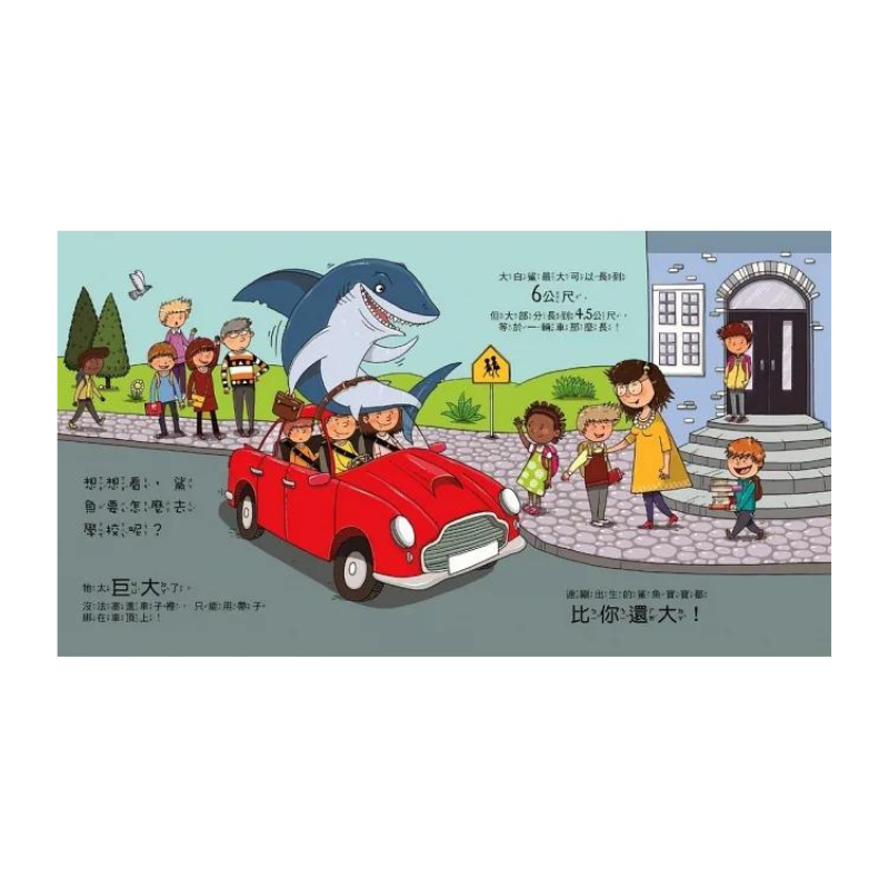 鯊魚可以上體育課嗎?