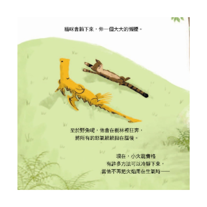 氣噗噗的小火龍