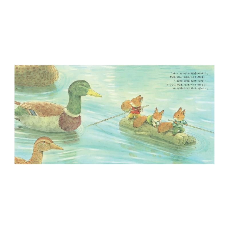 森林裡的小松鼠:岩村和朗經典四季繪本(全套六冊)