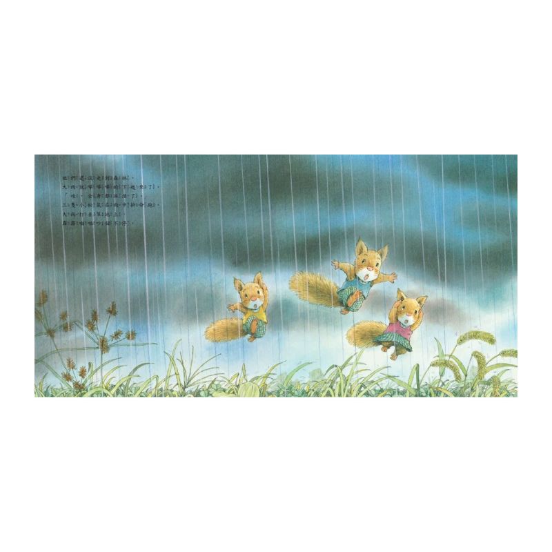 森林裡的小松鼠:岩村和朗經典四季繪本(全套六冊)