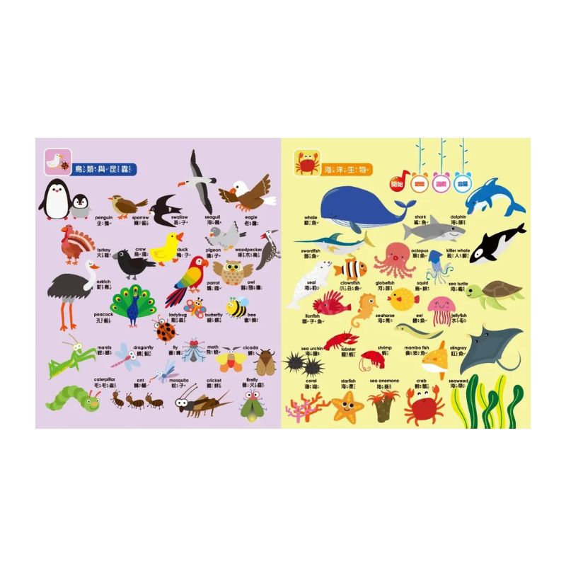 寶寶的第一本觸控有聲書:認知百科圖鑑(內含3語發音+23個生活主題+550個詞語)