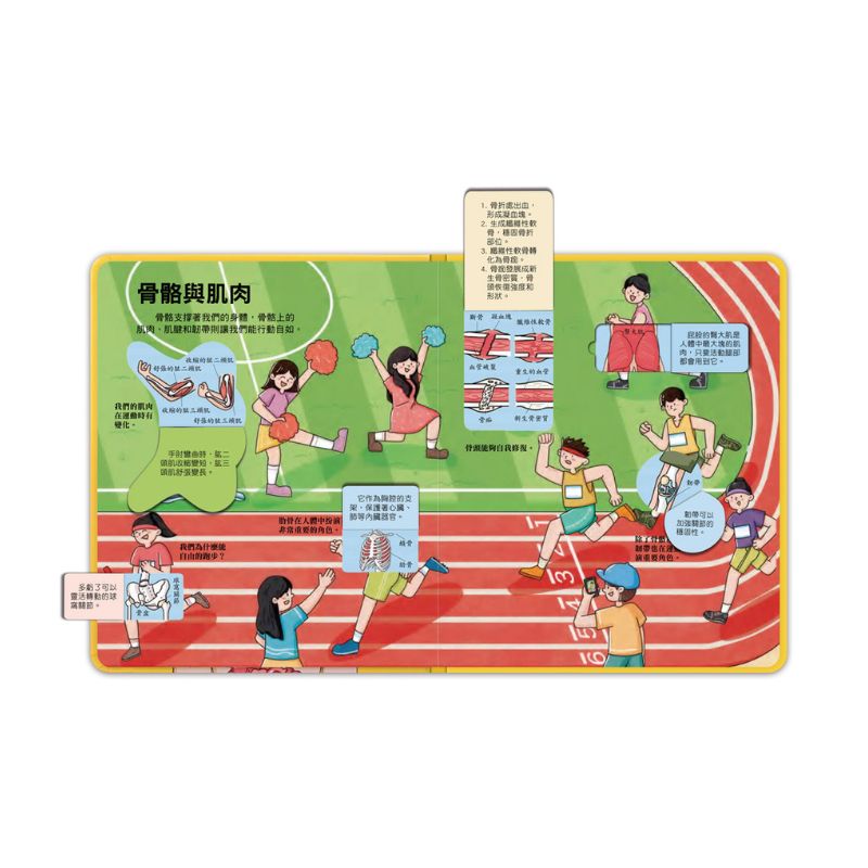 百問百答圖解翻翻書-揭祕身體