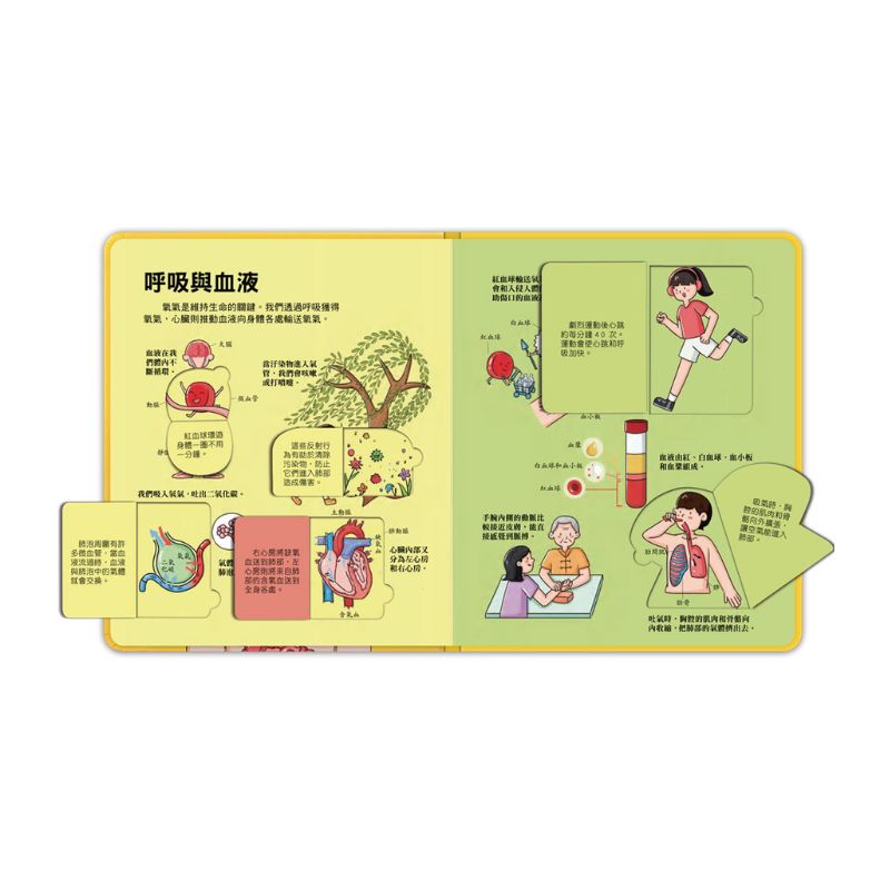 百問百答圖解翻翻書-揭祕身體