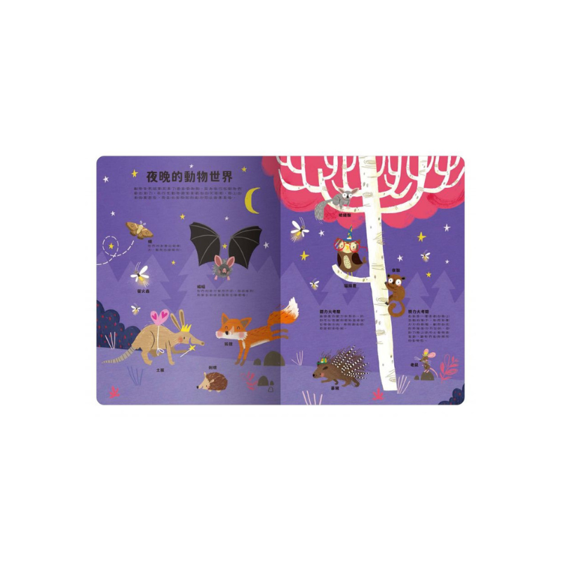 出發!探索之旅!大書陪我看動物