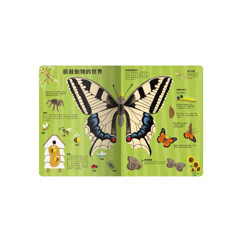 出發!探索之旅!大書陪我看動物