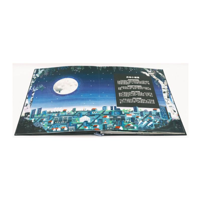 砰!立體教室大發現-月球原來長這樣