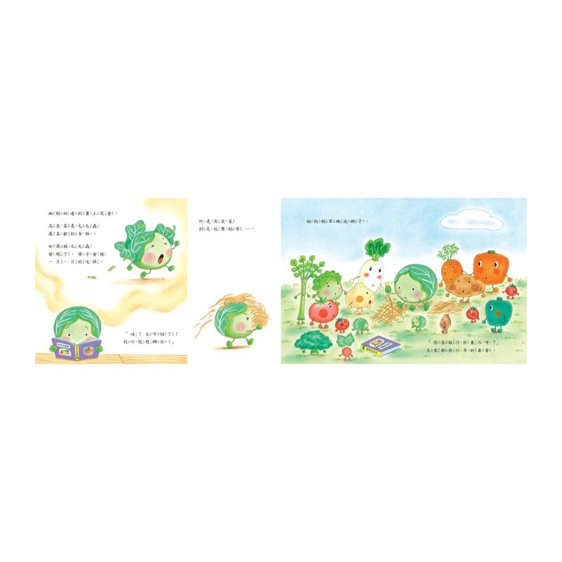 蔬菜學校4:不想開花的高麗菜