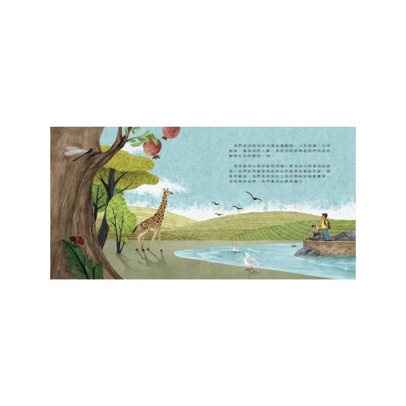 世界中的孩子系列5-8(共四冊):一起認識影響全球的關鍵議題──權利與平等、規則和責任、文化多樣性、地球與永續