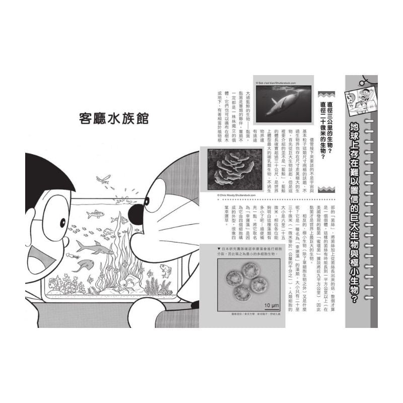 哆啦A夢科學任意門13 小小世界顯微鏡