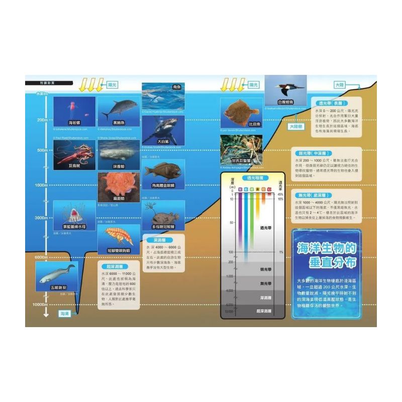 哆啦A夢科學任意門14 海底迷宮探測號