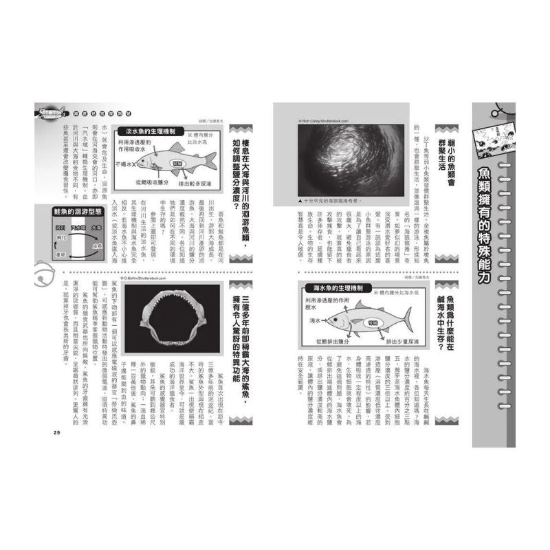 哆啦A夢科學任意門14 海底迷宮探測號
