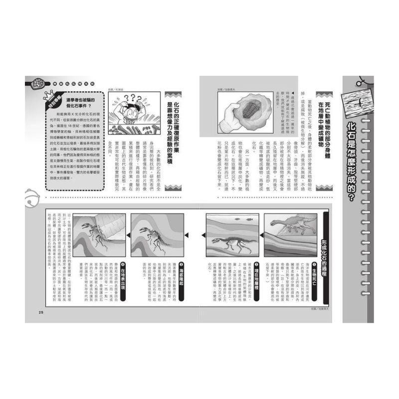 哆啦A夢科學任意門15 神秘化石時光布