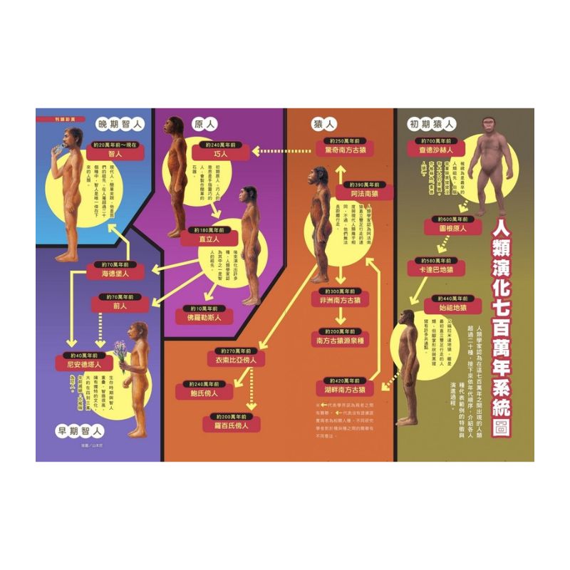 哆啦A夢科學任意門19 人類演化追蹤槍