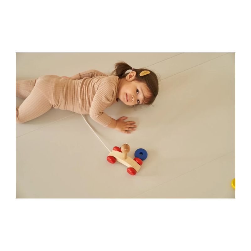 CARAZ Zero Folder Playmat