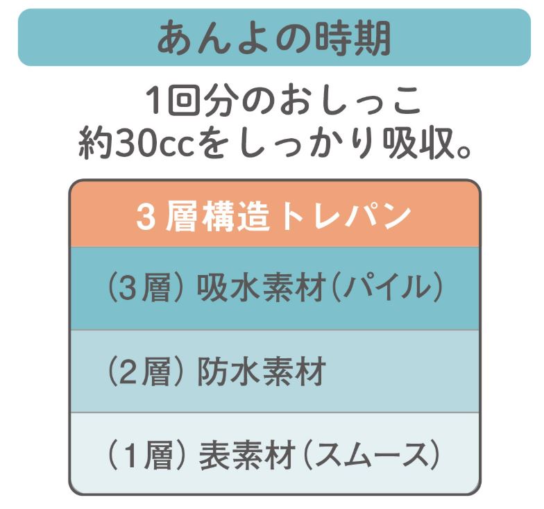 3-Layer Training Pants (2-Pack) – Soft Cotton Absorbent Briefs