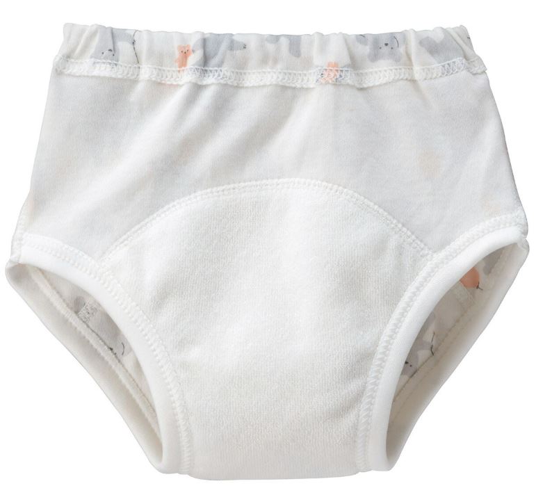 3-Layer Training Pants (2-Pack) – Soft Cotton Absorbent Briefs