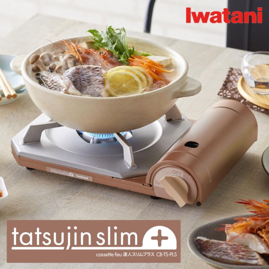 IWATANI Slim III Compact Stove with Carrying Case