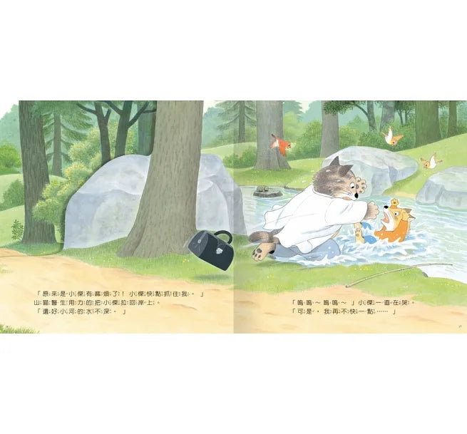 好忙好忙的山貓醫生