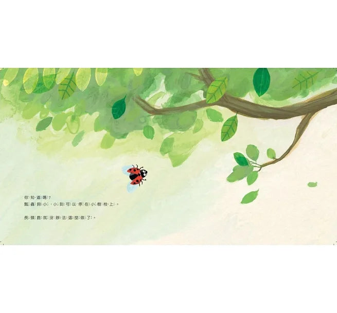 當爸媽的寶貝,你最剛好