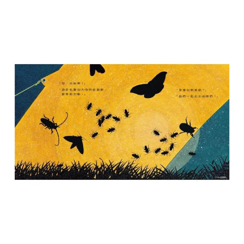 夜間觀察:一趟夜訪大自然的父子散步