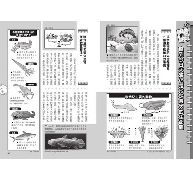 哆啦A夢科學任意門(11-15集)