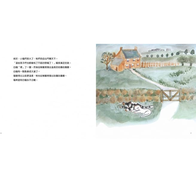 活了100萬次的貓