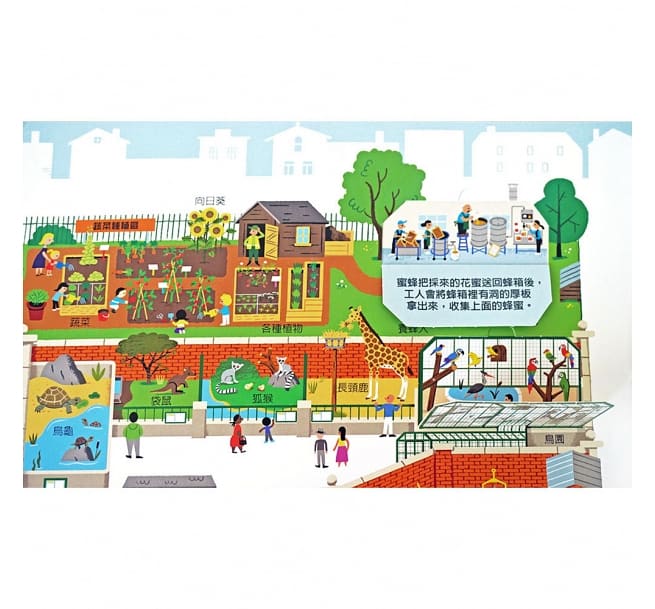 城市探索大發現