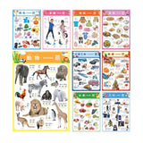 Realistic Bilingual Chinese-English Poster Set (Traditional Chinese and Zhuyin) 實物兒童中英文學習海報組