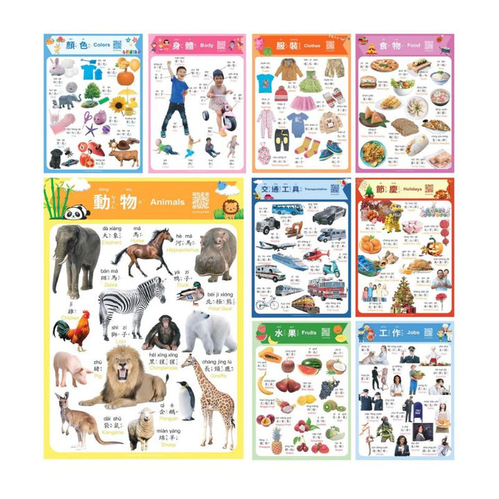 Realistic Bilingual Chinese-English Poster Set (Traditional Chinese and Zhuyin) 實物兒童中英文學習海報組