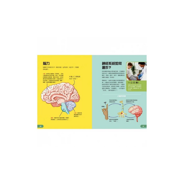 天才小醫生的人體實驗課：18種遊戲實驗與10個器官模型DIY，內化孩子的醫學腦！