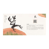 水墨漢字繪本【注音版‧4冊套書】