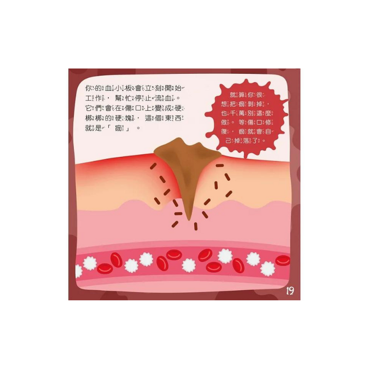 【身體為什麼系列】我為什麼會流血？