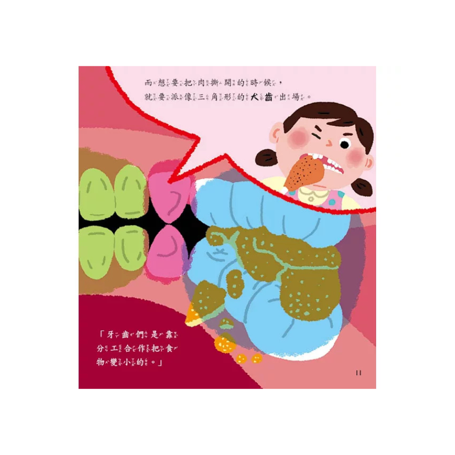 牙齒功用大不同！