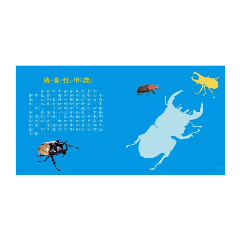 甲蟲圖鑑小百科