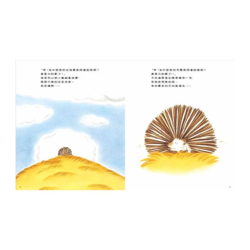 小刺蝟的煩惱