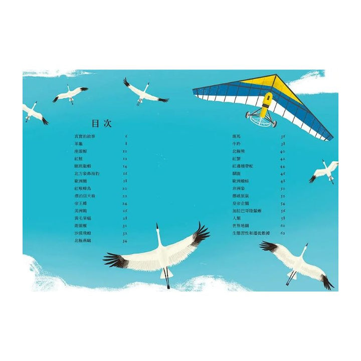 當動物踏上遷徙的旅程