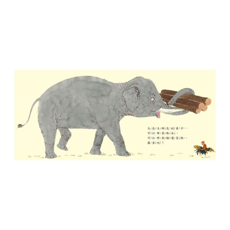 比一比，誰最長？