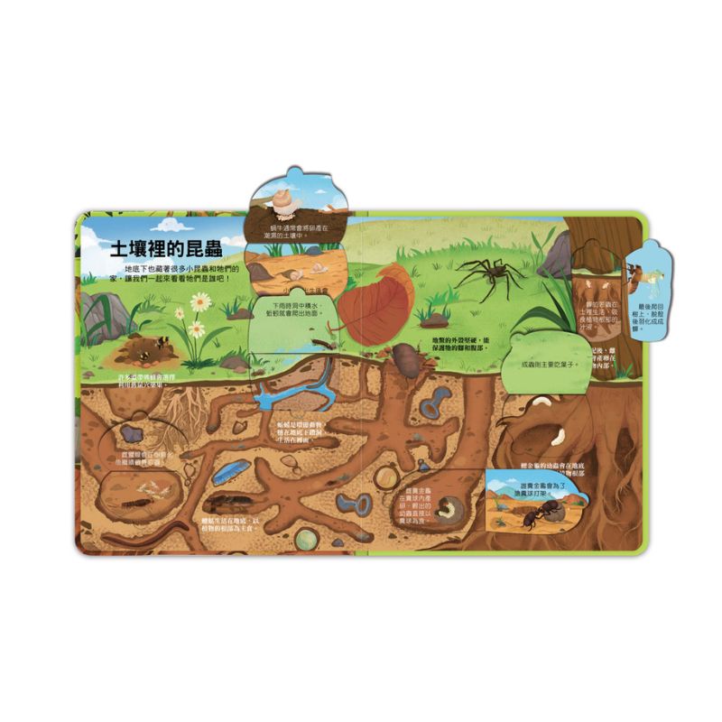 百問百答圖解翻翻書－揭祕昆蟲