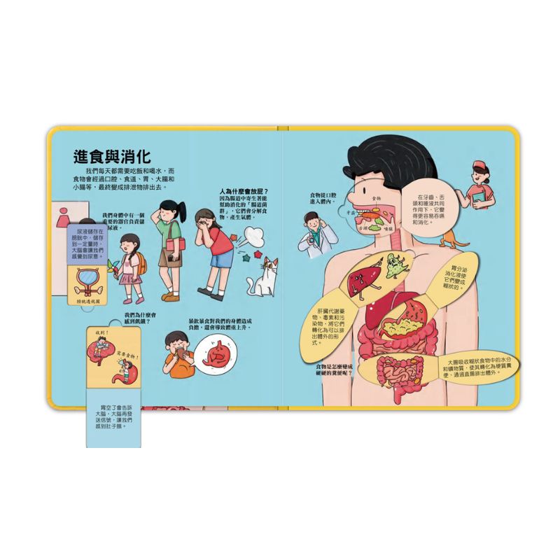 百問百答圖解翻翻書－揭祕身體
